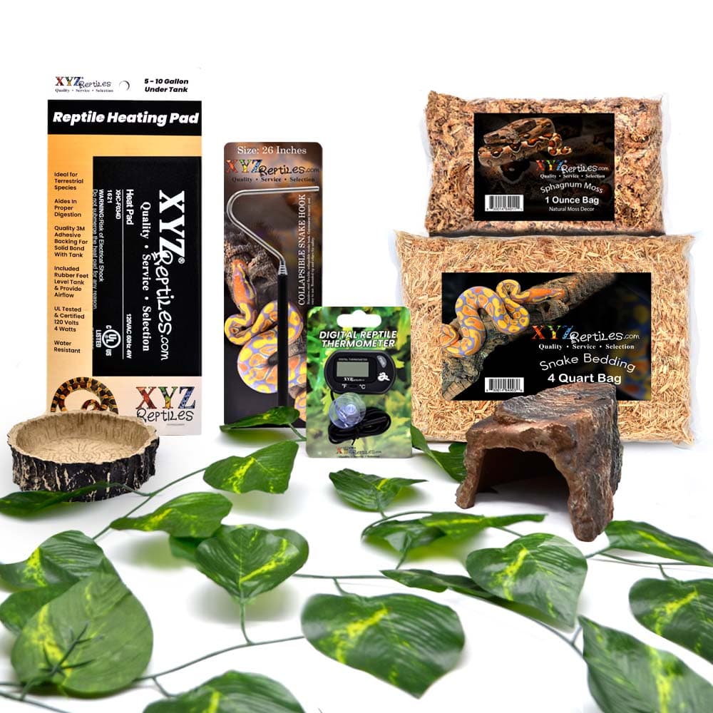 Corn Snake Starter Kit