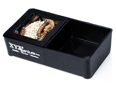 Mealworm Feeding Dish Water Bowl Combo