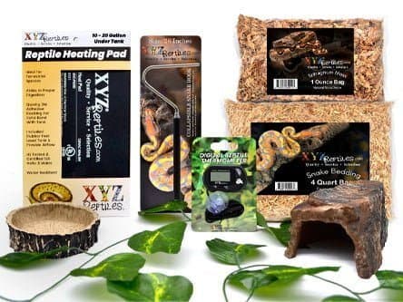 Ball Python Starter Kit