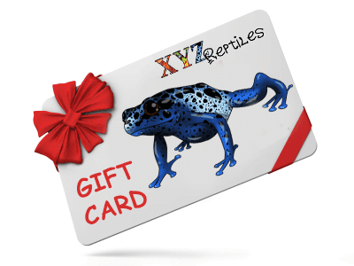 Pet Gift Cards