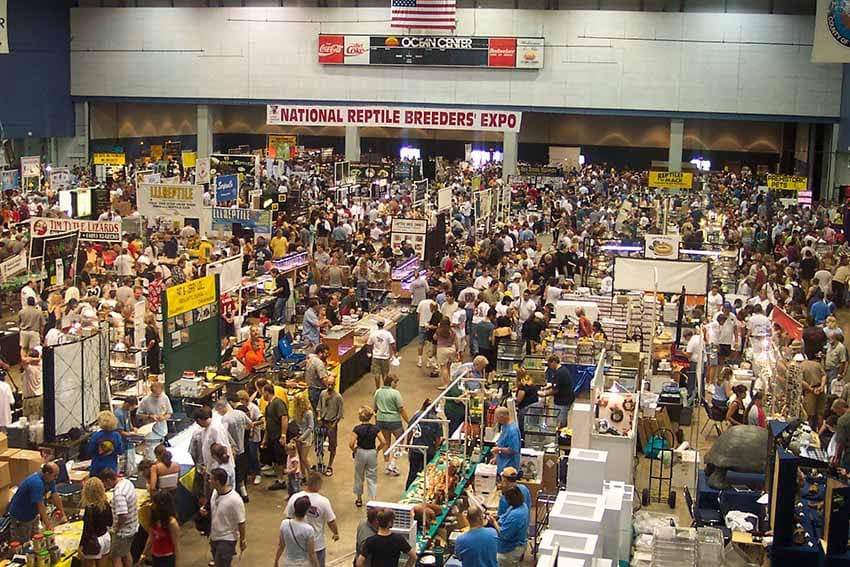 Daytona Reptile Show Pre Show Jitters and Anxiety Dreams