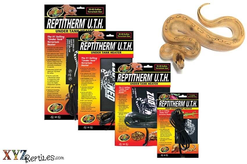 Correctly Using Your Reptile Heat Pad