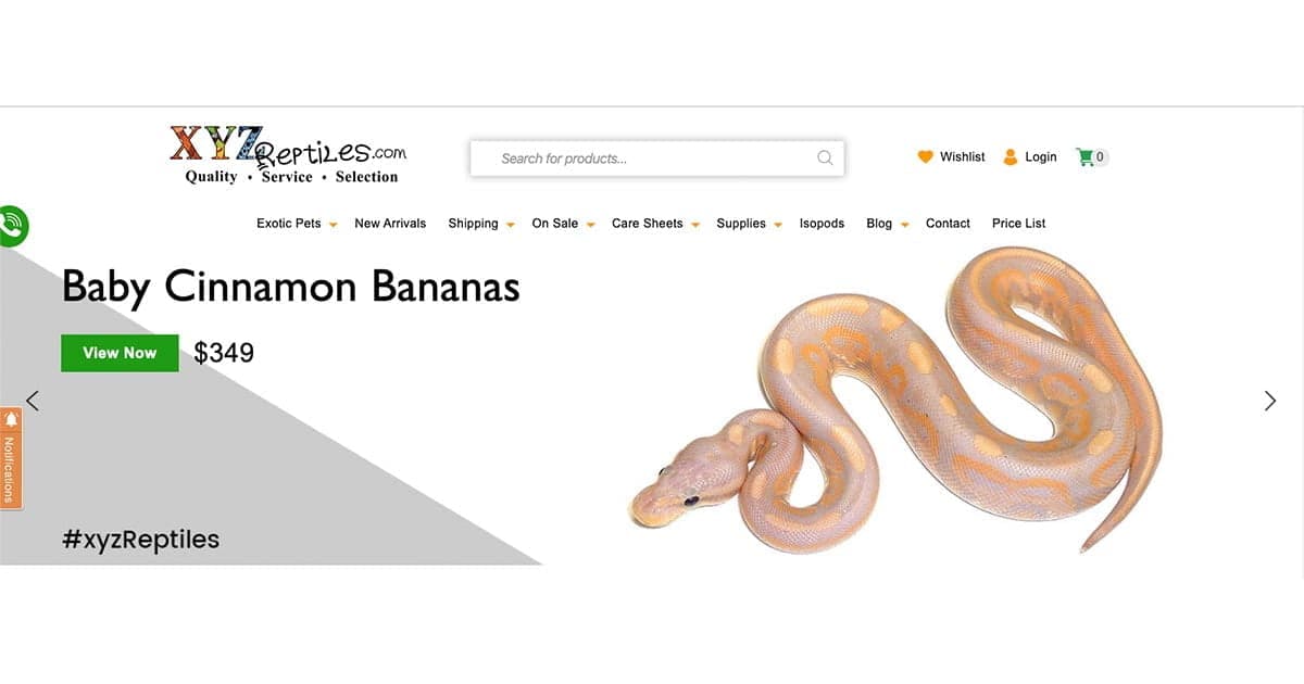 Reputable Places To Find Exotic Reptiles For Sale Online