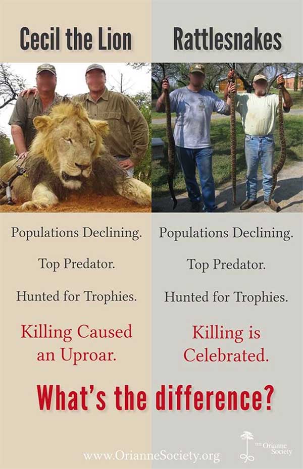 Cecil the Lion