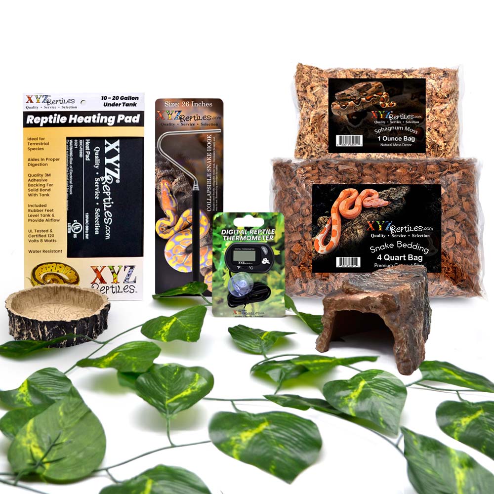 Corn Snake Starter Kit