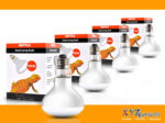 Wholesale Reptile Heat Bulbs 100W, 75W, 50W