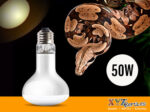 Reptile Heat Lamp Bulb 50 Watt
