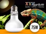 Reptile Heat Lamp Bulb 75 Watt