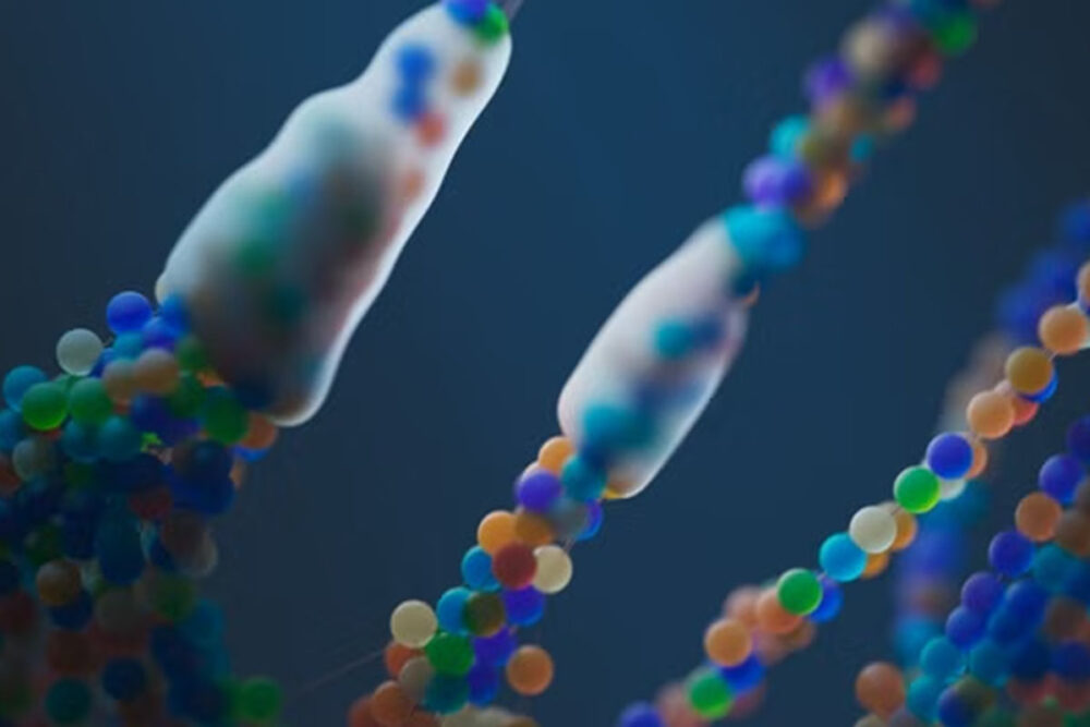 dna